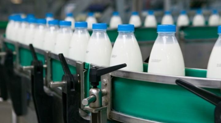 Сегодня в Татарстане произвели более 4000 тонн молока в сутки