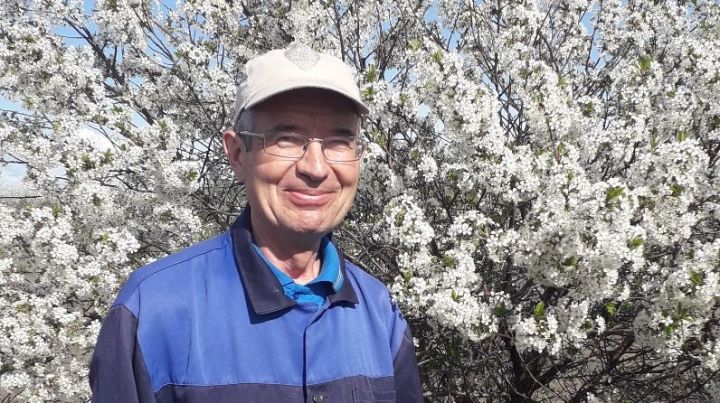 Ученые Татарстана рекомендуют: Защита яблони от болезней и вредителей