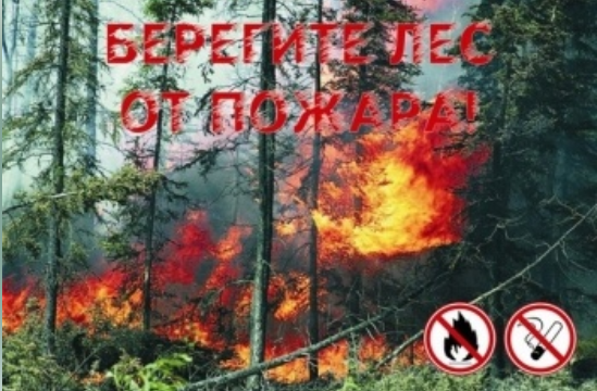 МЧС по РТ объявило ШТОРМОВОЕ ПРЕДУПРЕЖДЕНИЕ о высокой пожарной опасности лесов