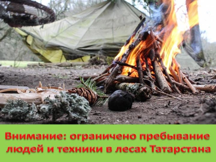 В лесах Татарстана ограничено пребывание людей и техники