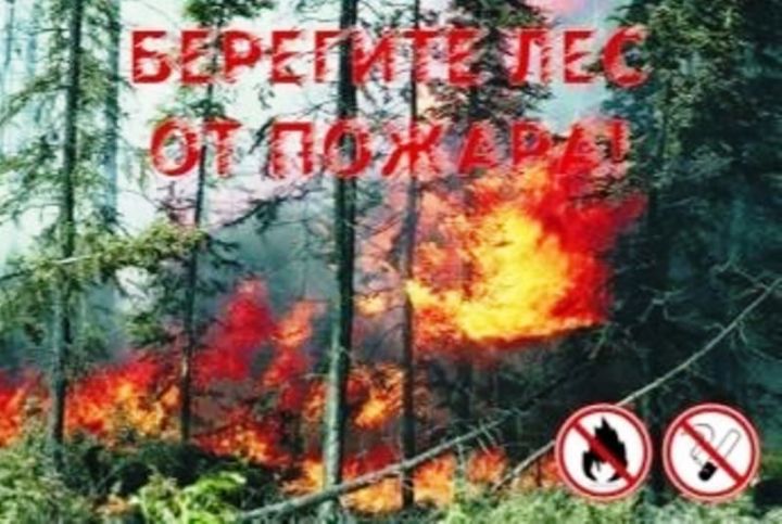Высокая пожарная опасность татарстанских лесов сохраняется