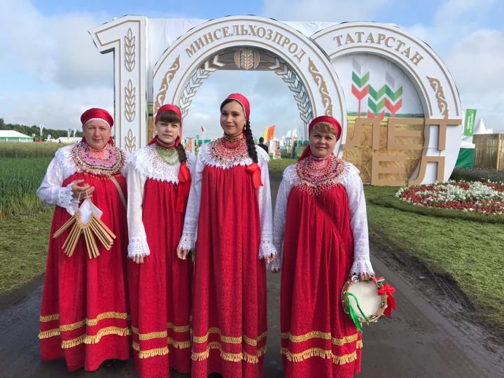 В Лаишевском районе открылась выставка «День поля в Татарстане-2020»
