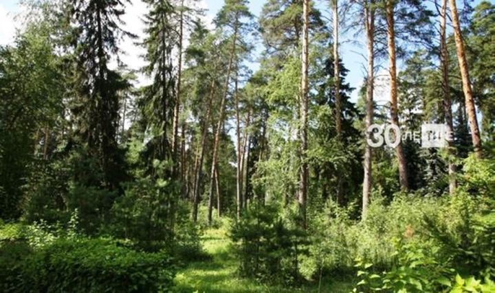 Татарстан лидирует в конкурсе экотуристических кластеров России