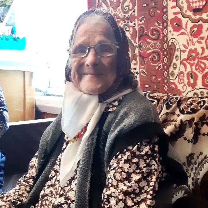 Старейшей жительнице поселка Нижние Кармачи исполнилось 95 лет