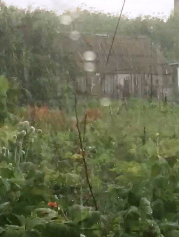 А в Алексеевске сегодня прошел дождь с градом