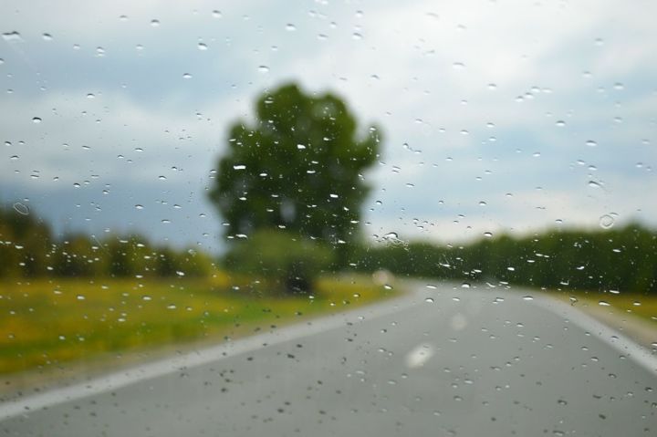 12 августа в Лаишевском районе ожидается дождь с грозой