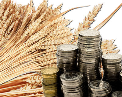 Агрострахование для татарстанских фермеров будет стоить 0 рублей