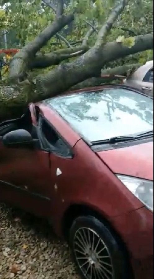 Ураган в Подмосковье вырывал с корнем деревья