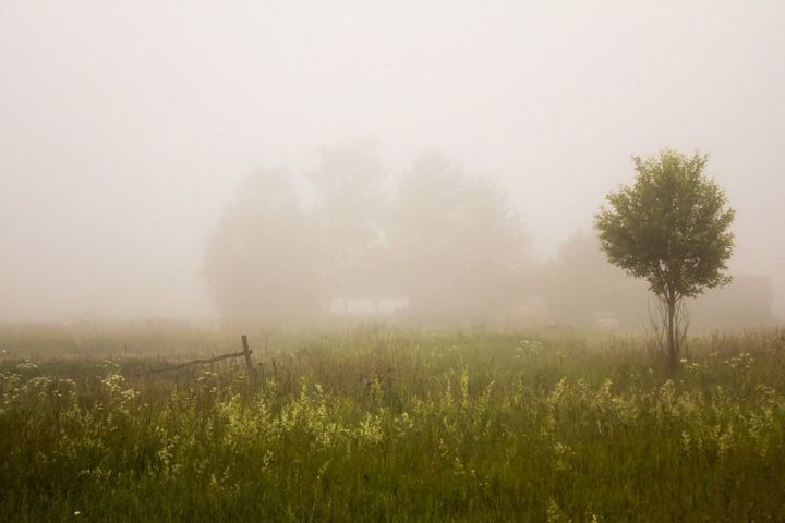 Ночью и утром 7 сентября 2020 года на территории Лаишевского района местами ожидается туман