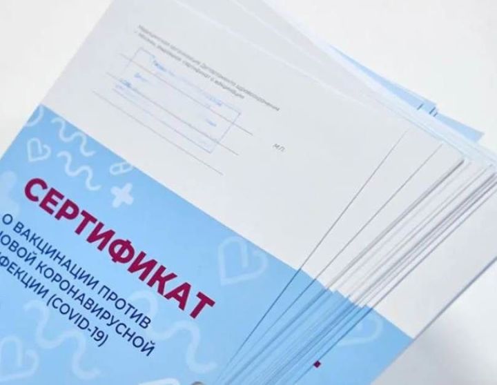 ​​​​​​​Жителям Татарстана старшего поколения в получении QR-кодов помогут волонтеры