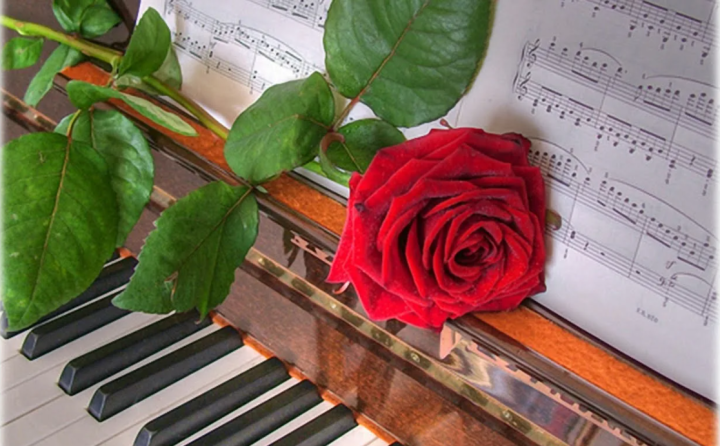 Сегодня – Международный День пианиста
