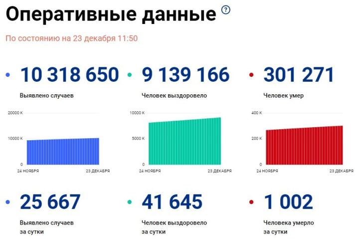 Более 300 тысяч россиян стали жертвами пандемии COVID-19