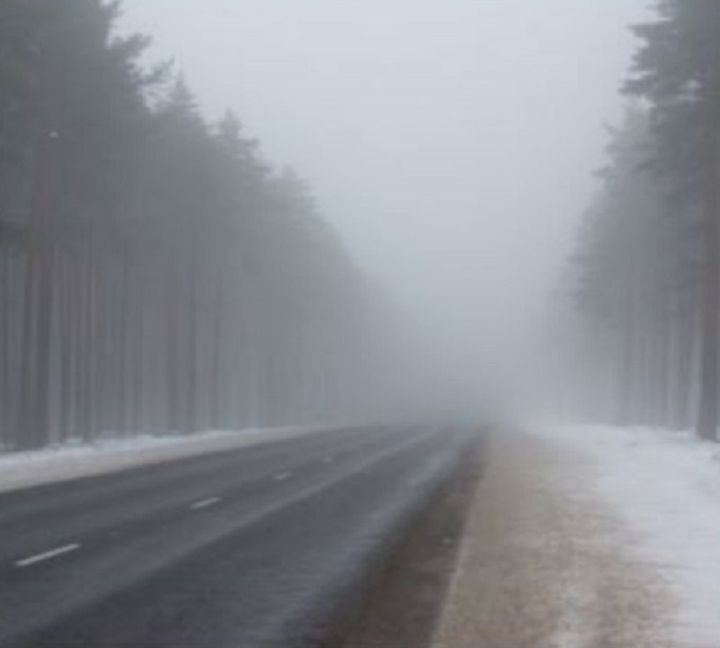 В Лаишевском районе ожидается туман