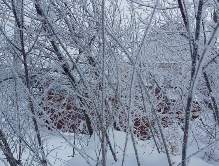 Ближайшей ночью в Лаишевском районе ожидается до 35 градусов мороза