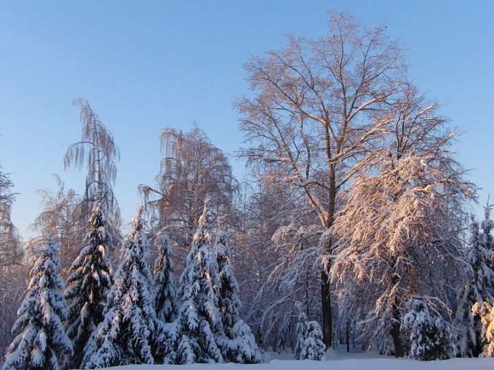 В понедельник обещают мороз и гололед