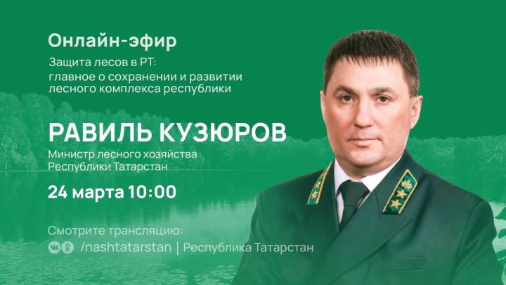 Татарстанцы зададут министру лесного хозяйства вопросы в прямом эфире