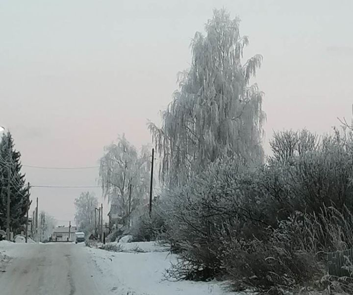 В Лаишевском районе ночью 7 марта обещают до 21˚ мороза