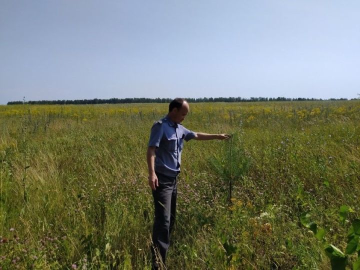 Землевладельцев Лаишевского района призывают соблюдать земельное законодательство