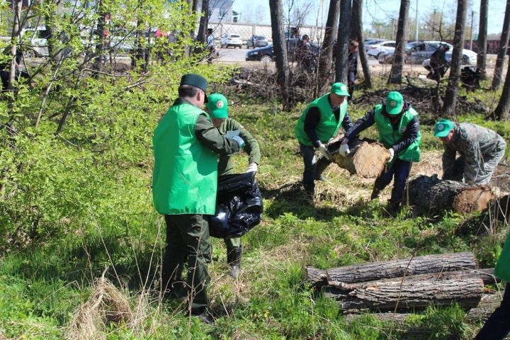 Вслед за экологической акцией «Чистый двор» стартует природоохранная - «Чистые леса Татарстана»