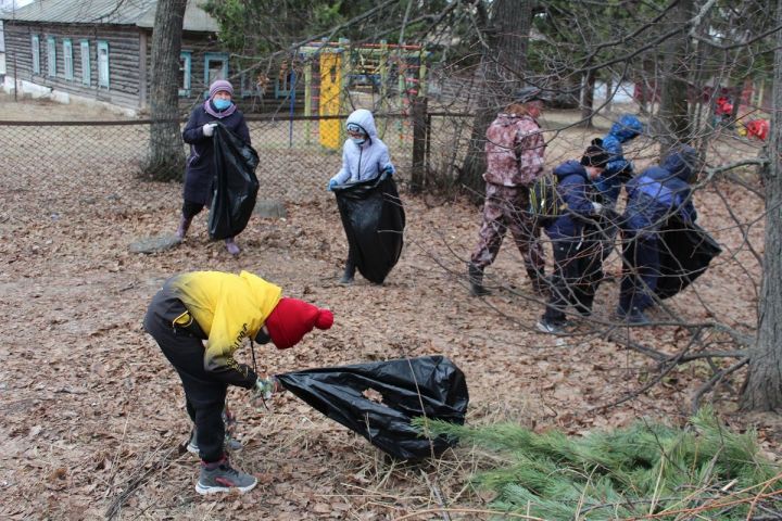 В Лаишевском районе проходит акция «Чистые леса»