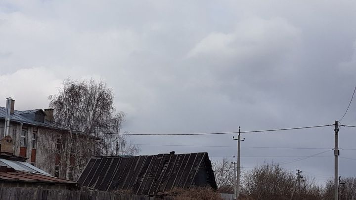 МЧС предупреждает о сильном ветре в Лаишевском районе