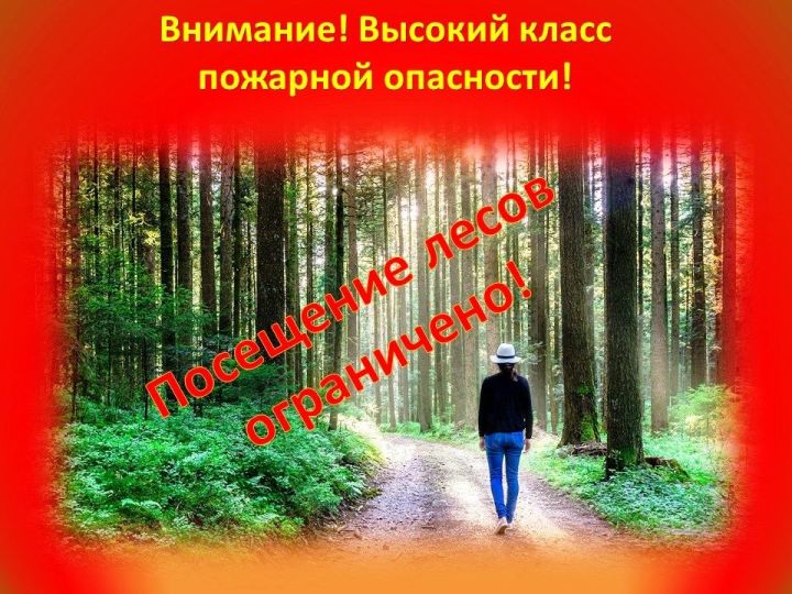 В Татарстане введено ограничение пребывания граждан в лесах