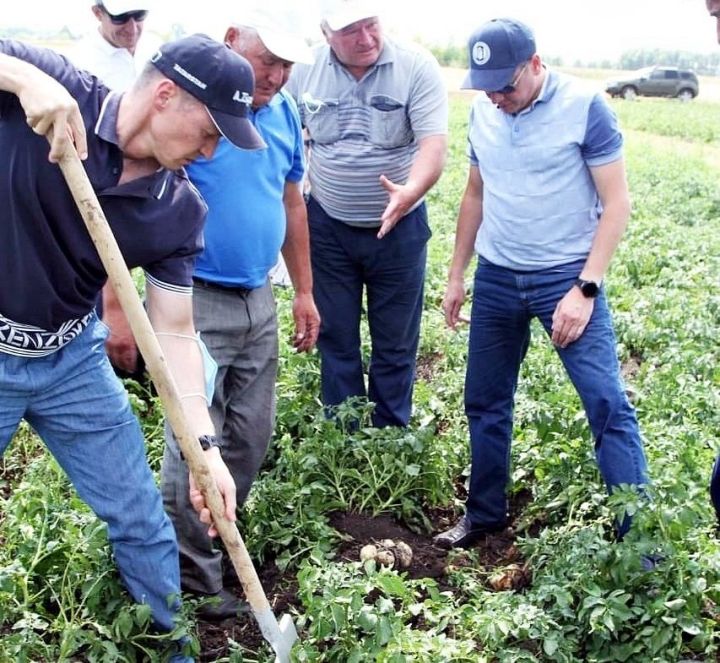Министр сельского хозяйства Марат Зяббаров в рамках Дня поля Казанского ГАУ посетил агрофирму «Нармонка»