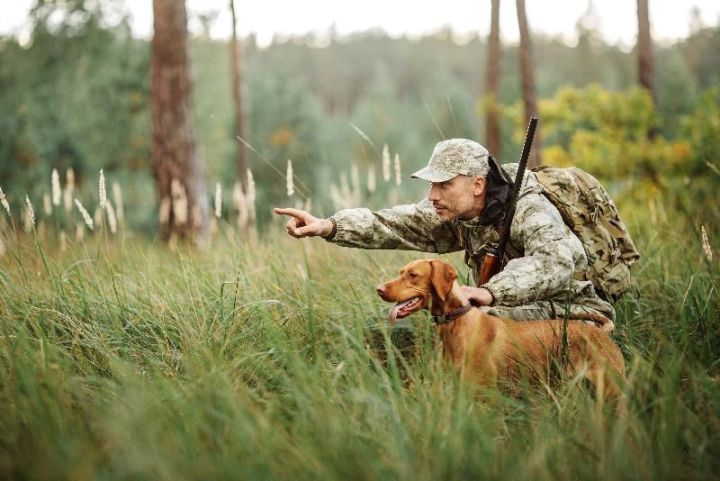 Вступают в силу поправки в федеральные законы «О животном мире» и «Об охоте»