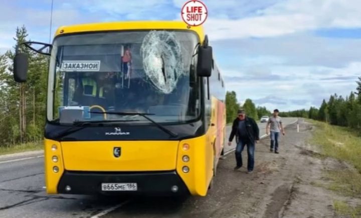 Водитель автобуса погиб от монтировки, прилетевшей в лобовое стекло