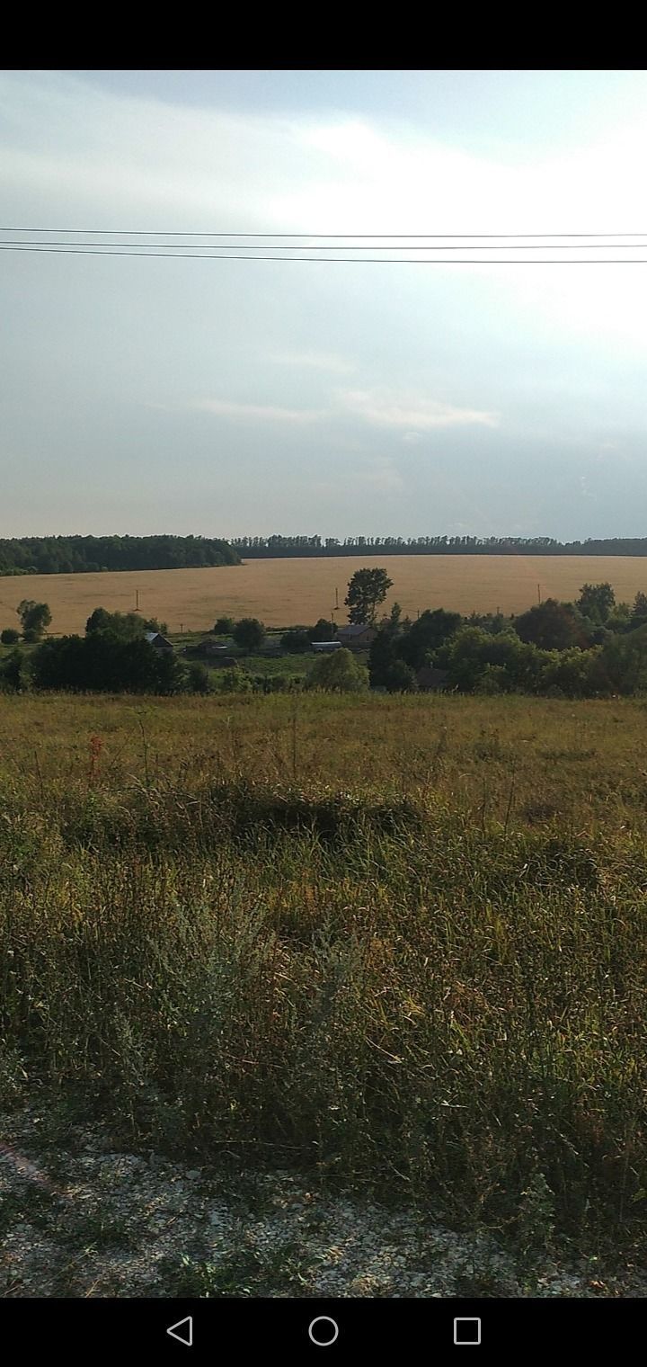 Россельхозцентр Лаишево и Татарстана приступили к анализу семян зерновых культур нового урожая.