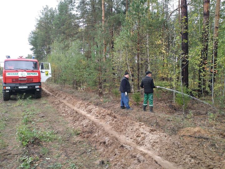 Волонтеры Лаишевского района приводили лес в порядок