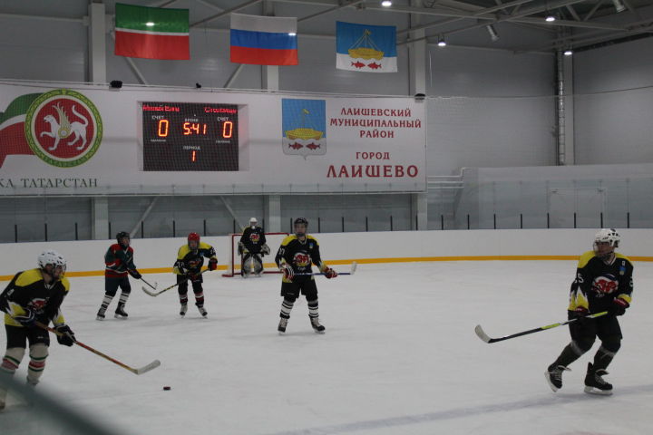 «Люблю папу, маму и хоккей» - этап Всероссийского фестиваля пройдет и в Лаишево