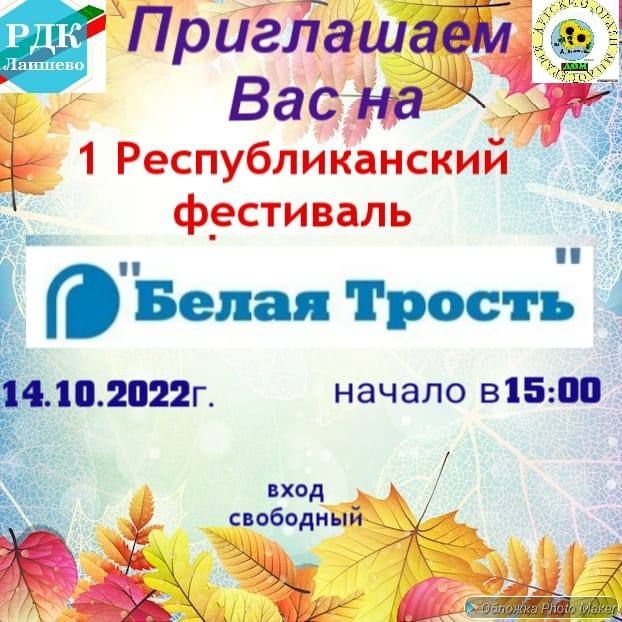 Накануне международного дня белой трости в Лаишево впервые пройдет Республиканский фестиваль «Белая трость»