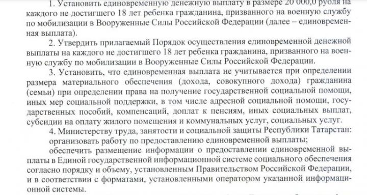 Детям мобилизованных в Татарстане выплатят по 20 тыс. рублей из резервного фонда Правительства