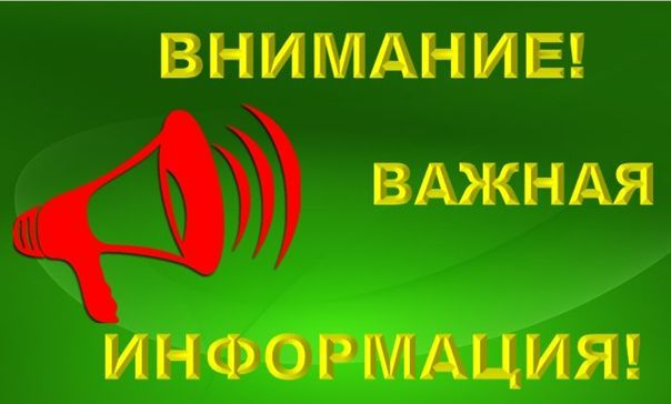 Бойцам батальонов и мобилизованным в Татарстане можно помочь не только финансово