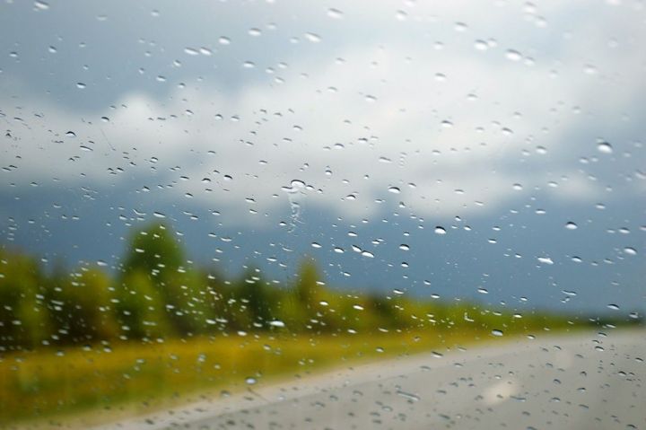 Дождливый день обещают синоптики 24 октября в Лаишевком районе