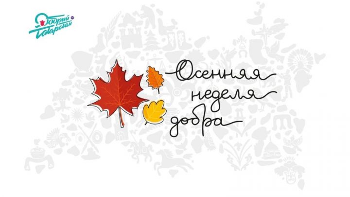 В Татарстане  45 районов участвуют во Всероссийской акции «Осенняя неделя добра»