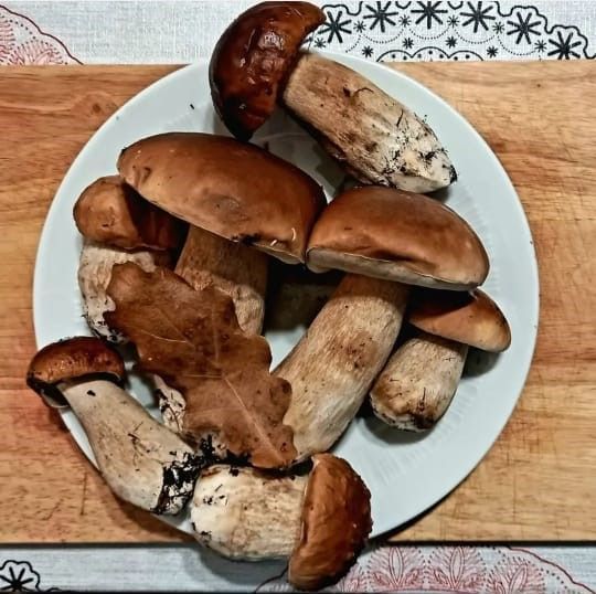Пора маринованных грибочков – рецепт для вас