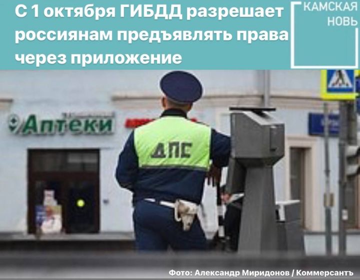 ГИБДД с 1 октября разрешит россиянам предъявлять права через приложение