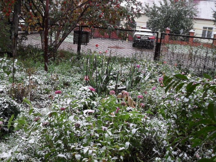 В Лаишевском районе ожидаются снег, метель и сильный ветер