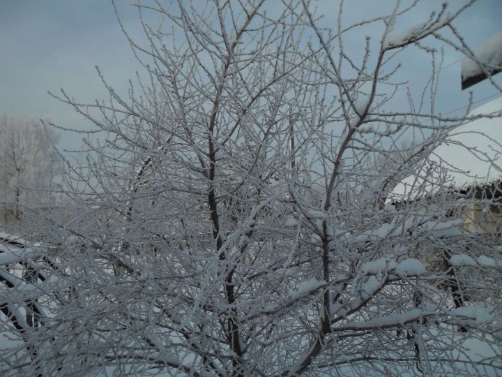 Ближайшей ночью в Лаишевском районе может похолодать до 15 градусов мороза