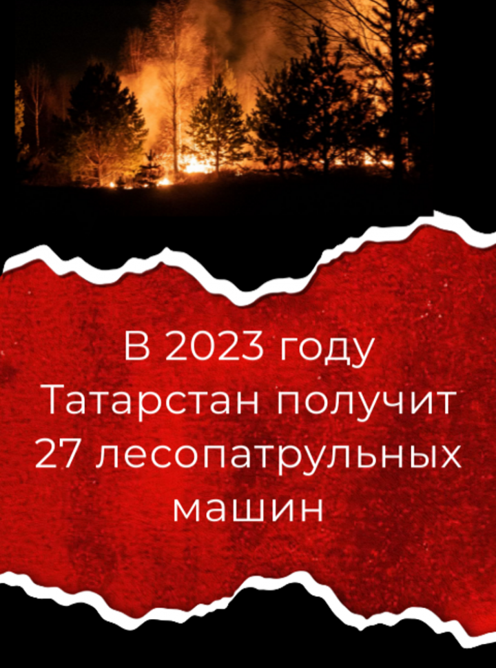 Нацпроекты. В 2023 году в Татарстане на реализацию федерального проекта «Сохранение лесов» выделят 96,2 млн руб.