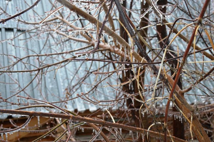 В Лаишевском районе сохранится вероятность ледяного дождя и гололеда