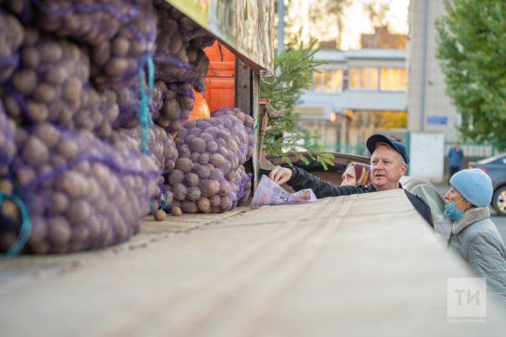 В Татарстане по итогам прошедших ярмарок жители купили более 15 тыс. тонн овощей