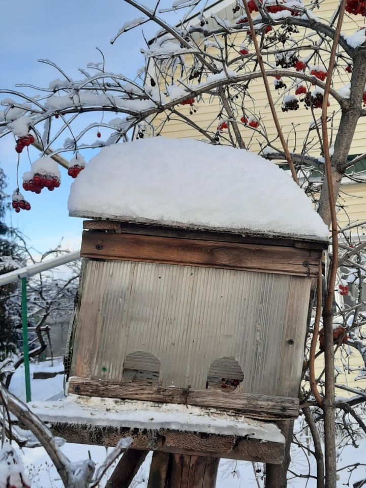 Житель Лаишевского района рассказал, как организует кормление птиц зимой