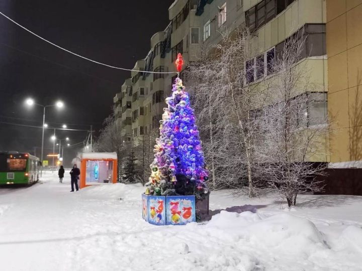 С Новым годом, друзья! Воробьиный щебет с утра пораньше - новогодняя идиллия