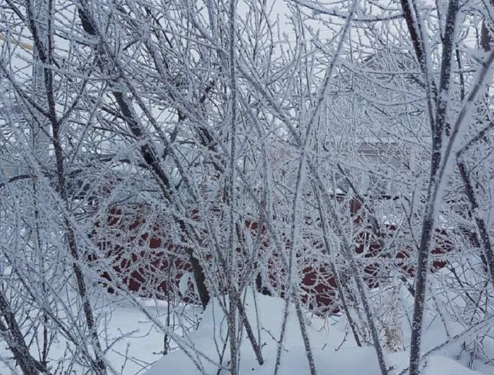 Ближайшей ночью в Лаишевском районе может похолодать до 26 градусов мороза