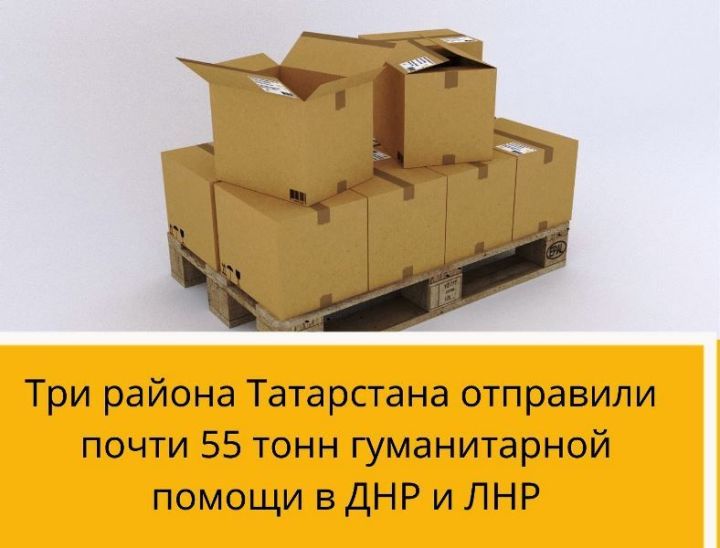 Главы трех районов Татарстана отправили почти 55 тонн гуманитарной помощи в Донецк и Луганск