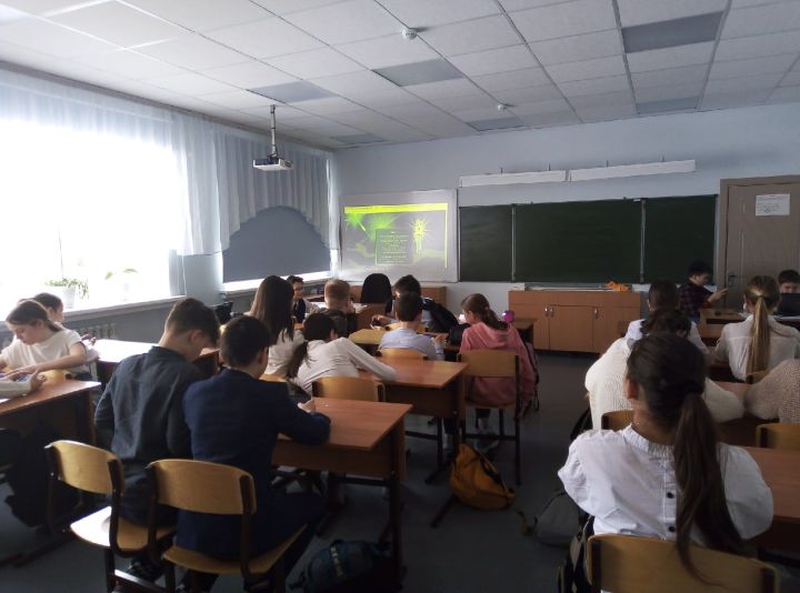 Школьников Лаишевского района обучают безопасности в Интернете