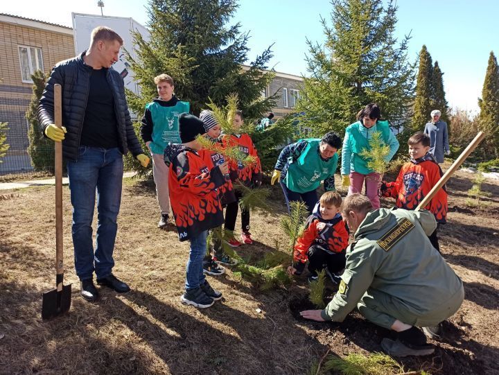 Лаишевские школьники смогут принять участие в конкурсе «Мы чистим мир»